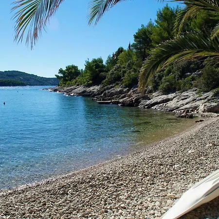 Holiday home Seaside Family Friendly House With A Swimming Pool Cove Mikulina Luka, Korcula - 20116 *
